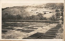 Fruit Drying in Santa Clara, California Postcard Postcard Postcard