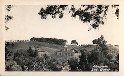 Novitiate - Los Gatos Postcard