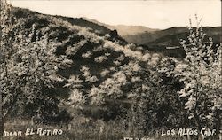 Near El Retiro Los Altos, CA Postcard Postcard Postcard