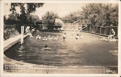 Reaoaks Ranch and Swimming Pool on the Highway Gilroy, CA Postcard Postcard Postcard