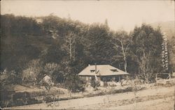 Redwood Retreat Postcard