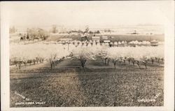 Glimpse of Santa Clara Valley Postcard