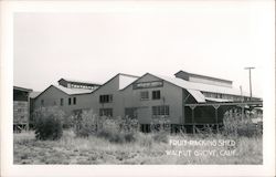 Fruit Packing Shed Postcard