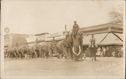 A Parade of Elephants, Circus Visalia, CA Postcard Postcard Postcard