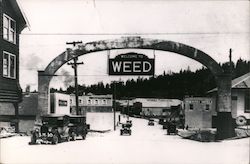 Welcome to Weed (Reproduction?) Postcard