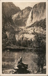 A Small Bear Sitting in Front of a Waterfall Yosemite, CA Postcard Postcard Postcard