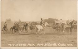 Fort Bidwell Fair Postcard