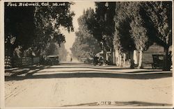 Looking Along Main Street Postcard