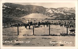 Cattle Round-Up Gaviota, CA Postcard Postcard Postcard