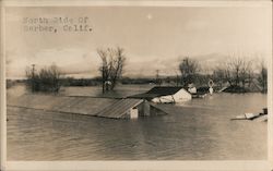 Flood, North Side of Gerber, Calif. California Postcard Postcard Postcard