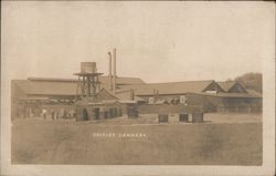 Gridley Cannery California Postcard Postcard Postcard