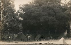 Grizzly Flats Headquarters Cedar Falls Tent camps US Flag California Postcard Postcard Postcard