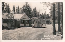 Dann's Hotcreek Camp Oakland, CA Postcard Postcard Postcard