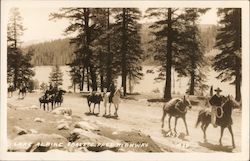 Lake Alpine Ebbetts Pass Highway horsemen with pack mules on dirt road. California Postcard Postcard Postcard