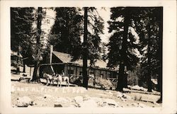 Lake Alpine Lodge Postcard