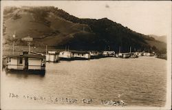 The Arks Houseboats on lake Postcard