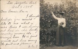 A Woman Picking Fruit Los Angeles, CA Postcard Postcard Postcard