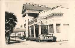 Alligator Farm Los Angeles, CA Postcard Postcard Postcard