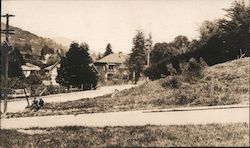 Dipsea Race Mill Valley, CA Postcard Postcard Postcard