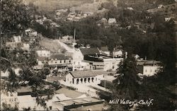 Aerial View of Mill Valley California Postcard Postcard Postcard