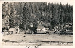 Cabins at Mineral Lodge California Postcard Postcard Postcard