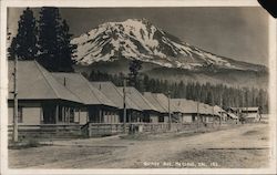 Looking Along Quincy Ave. McCloud, CA Postcard Postcard Postcard