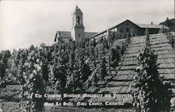 Mont La Salle, Christian Brothers Monastery and Vineyards Napa, CA Postcard Postcard Postcard