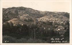 The Hills of Mill Valley California Postcard Postcard Postcard