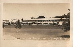 Bret Hart Sanitarium at Murphys Postcard