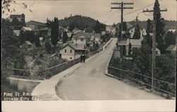 Pine St. Bridge Postcard