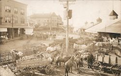 Busy Street Scene, Market Newcastle, CA W. E. Banbrock Postcard Postcard Postcard