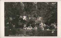 Oakland Recreation Camp California Postcard Postcard Postcard