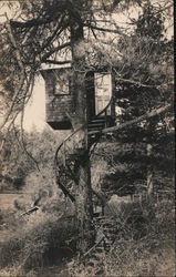 Treehouse In A Pine Tree, With Spiral Steps California Postcard Postcard Postcard