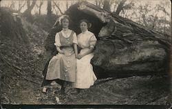 Women in Hollowed-out Redwood Tree Postcard