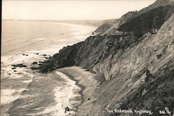 The Redwood Highway, Coastal Scene California Postcard Postcard Postcard