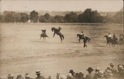 Bucking Horses Being Ridden Postcard