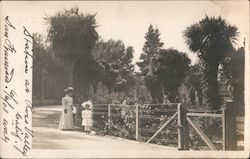 A Woman and Child in Ross Valley San Francisco, CA Postcard Postcard Postcard