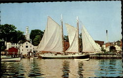 Schooner Mercantile Postcard