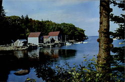 Fish Houses On Back Cove Postcard