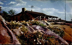 Flower Gardens And Summit Chalet Postcard