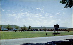 Olson Motel, U. S. Route 20 Silver Creek, NY Postcard Postcard