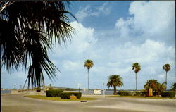 Entrance To Causeway From City Of Clearwater Florida Postcard Postcard