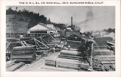 The D.M.L. and L. Co. Saw Mill Postcard