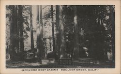 Redwood Rest Cabins Boulder Creek, CA Postcard Postcard Postcard