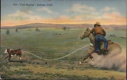 Calf Roping, Salinas, Calif. Postcard