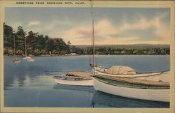 Greetings from Redwood City Postcard