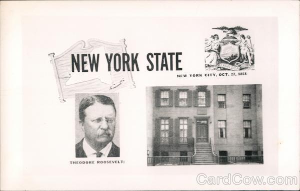 New York State New York City Oct 27 1858 Theodore Roosevelt Postcard