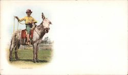 Rough Rider Theodore Roosevelt Postcard Postcard Postcard