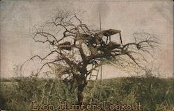 Lion Hunter's Lookout / treehouse lookout in Africa Postcard