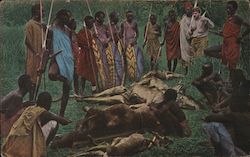 Tribal men posing around hunted and killed animals Postcard